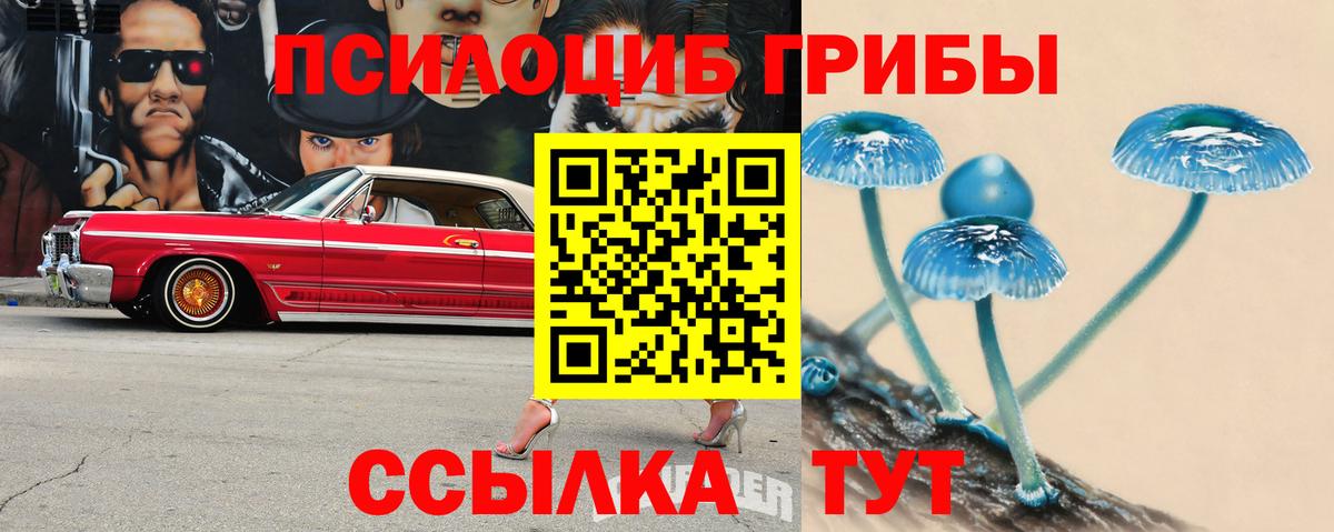 Красноперекопск  Псилоцибиновые грибы мухоморы  Вход с VPN 