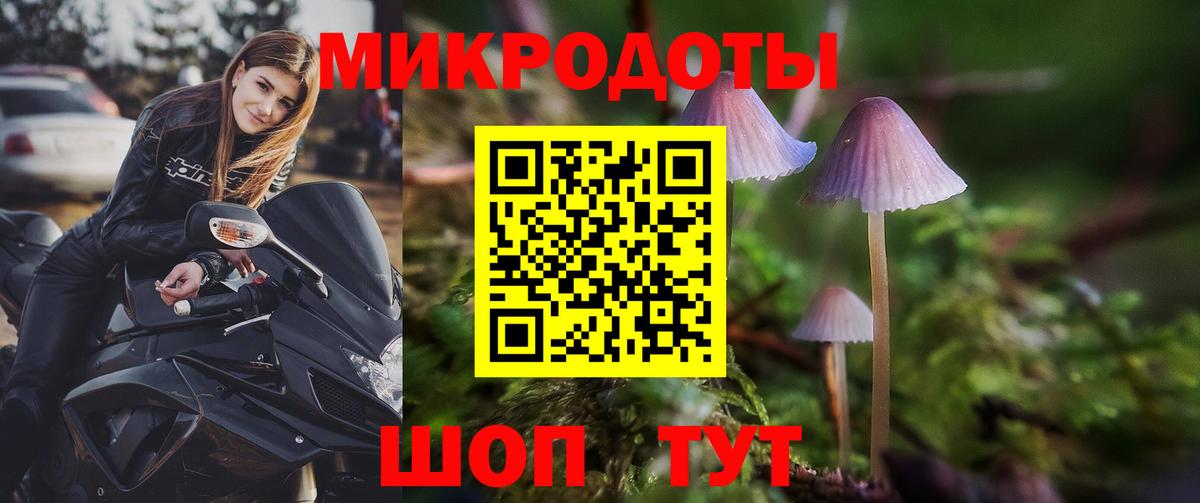 Псилоцибиновые грибы мухоморы  Галлюциногенные грибы Psilocybe  Красноперекопск 
